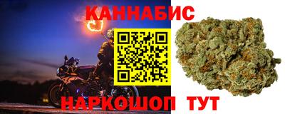 прущие грибы Волжский