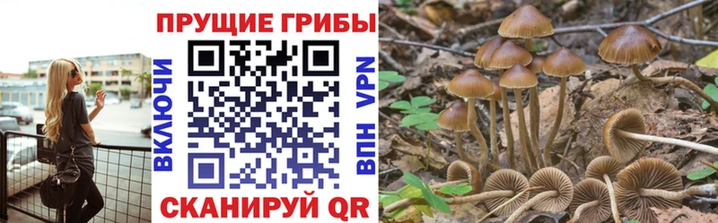 Псилоцибиновые грибы мицелий  закладка  Качканар 