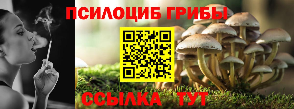 Галлюциногенные грибы Cubensis  купить наркотик  Качканар  Вход с VPN 