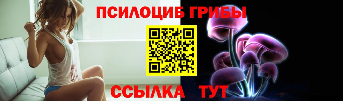 Псилоцибиновые грибы ЛСД  Псилоцибиновые грибы Magic Shrooms  Качканар 