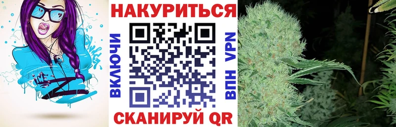 мориарти клад  blacksprut   Качканар  Канабис планчик 